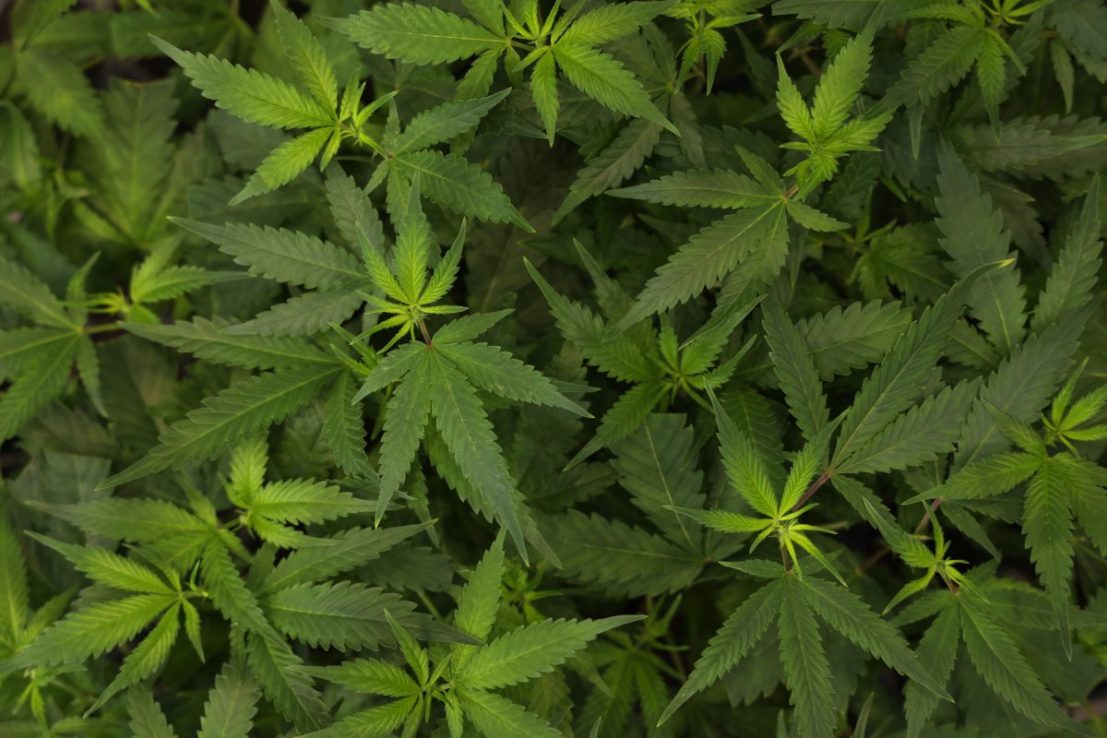 (Photo by Sean Gallup/Getty Images)