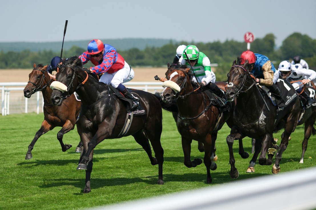 Mojo to emerge from the Shadows in Commonwealth Cup