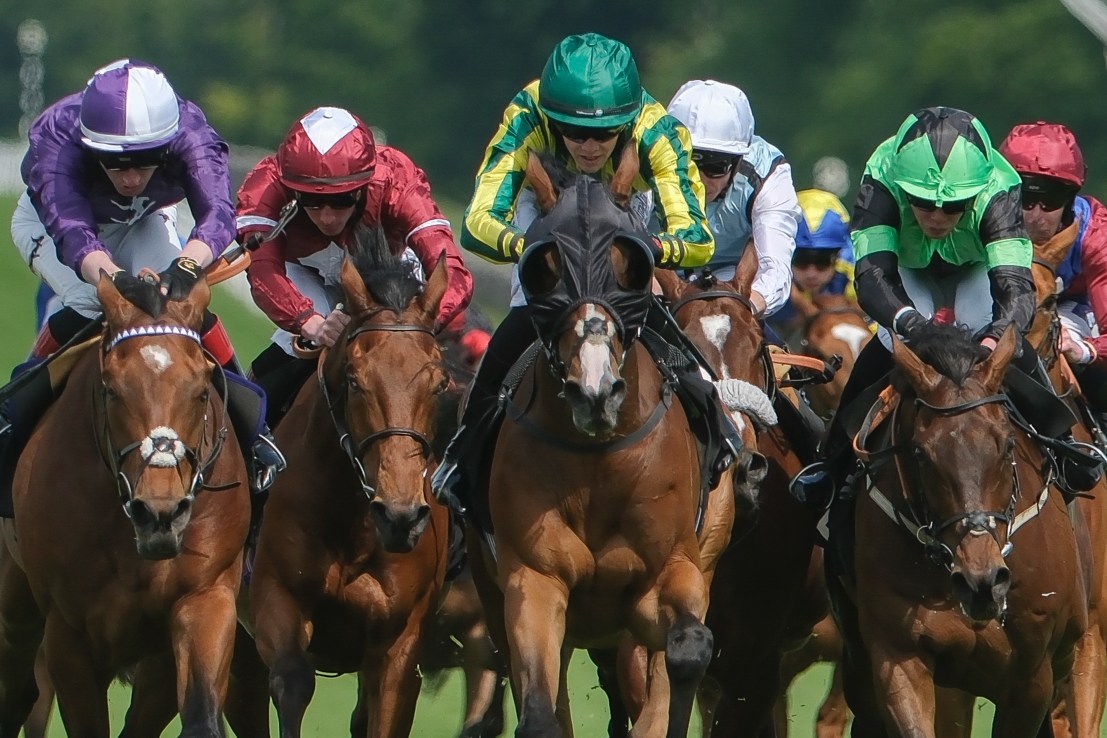 Manx the Man to beat the Jumps boys and scale Ascot heights