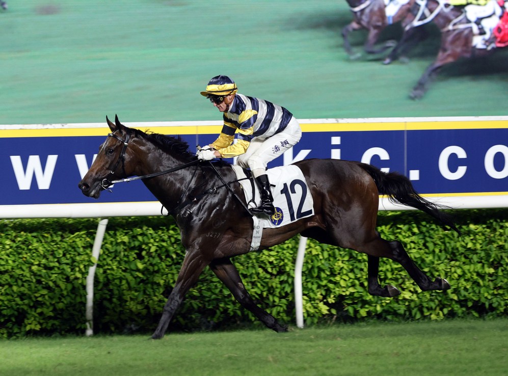 Packing Hermod is a six-time winner in Hong Kong.