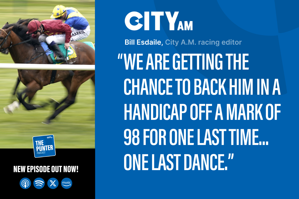 The Punter Podcast Episode 38: Bunbury Cup horse with a stone in hand