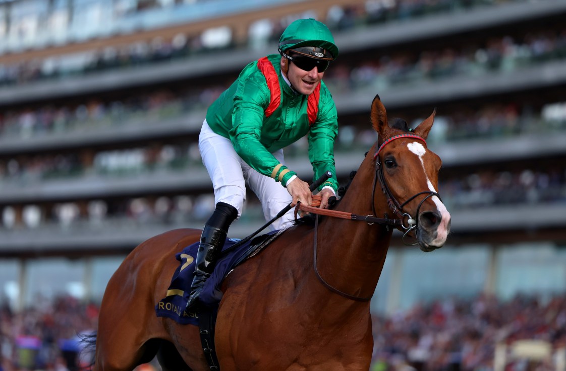Calandagan was a six-length winner at Royal Ascot last year.