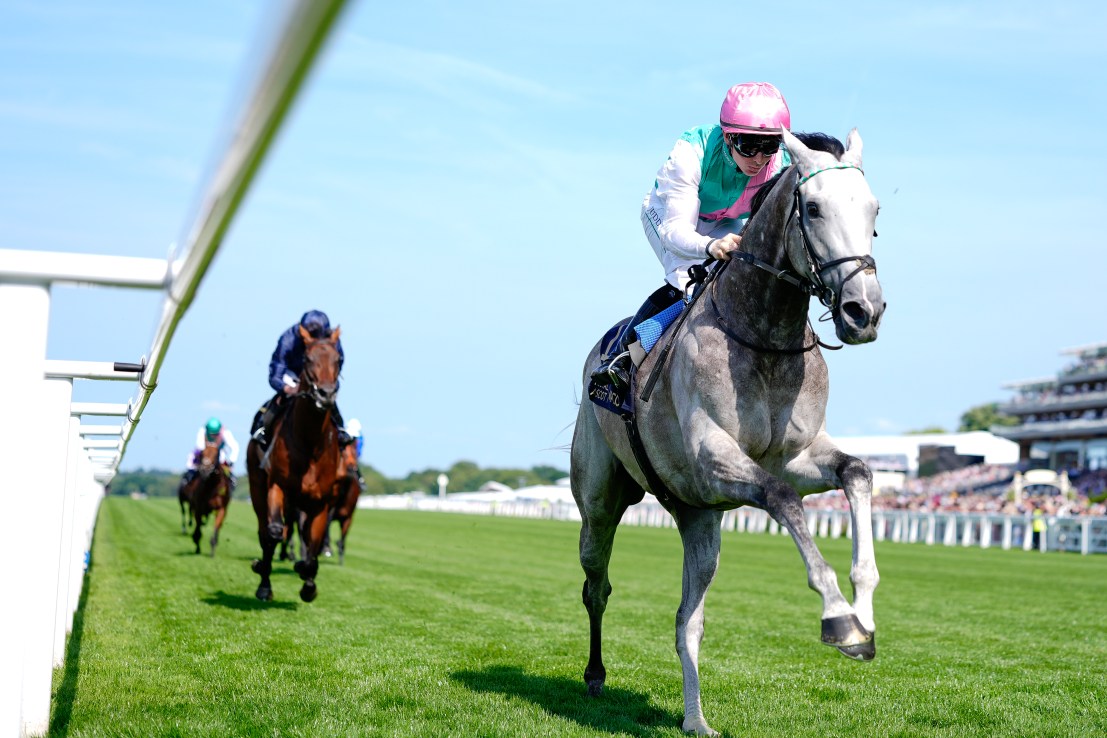 More Fields Of Gold await Gosdens’ grey at Goodwood