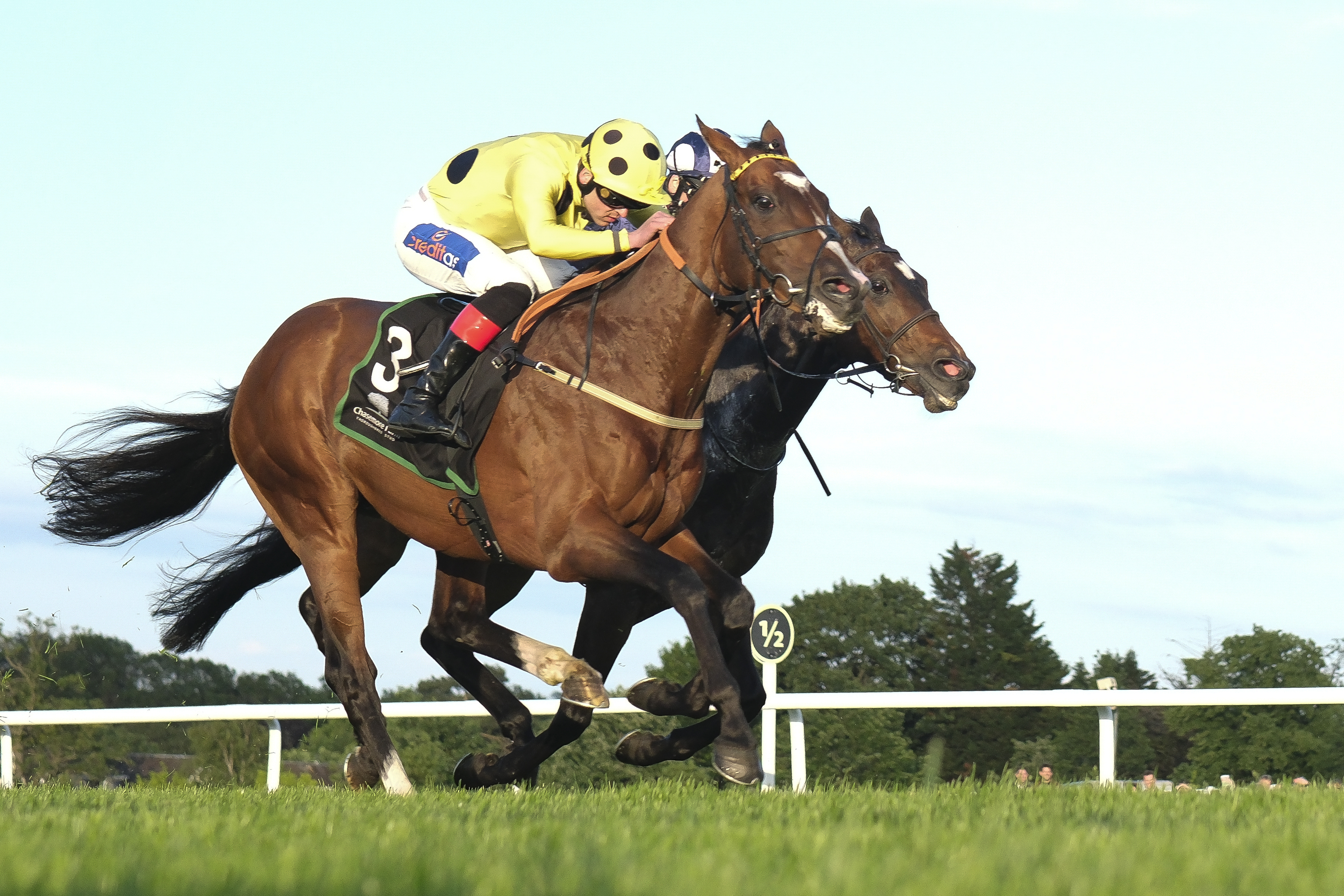 Farah_off OnlyFans Porn Exposed Direct Access