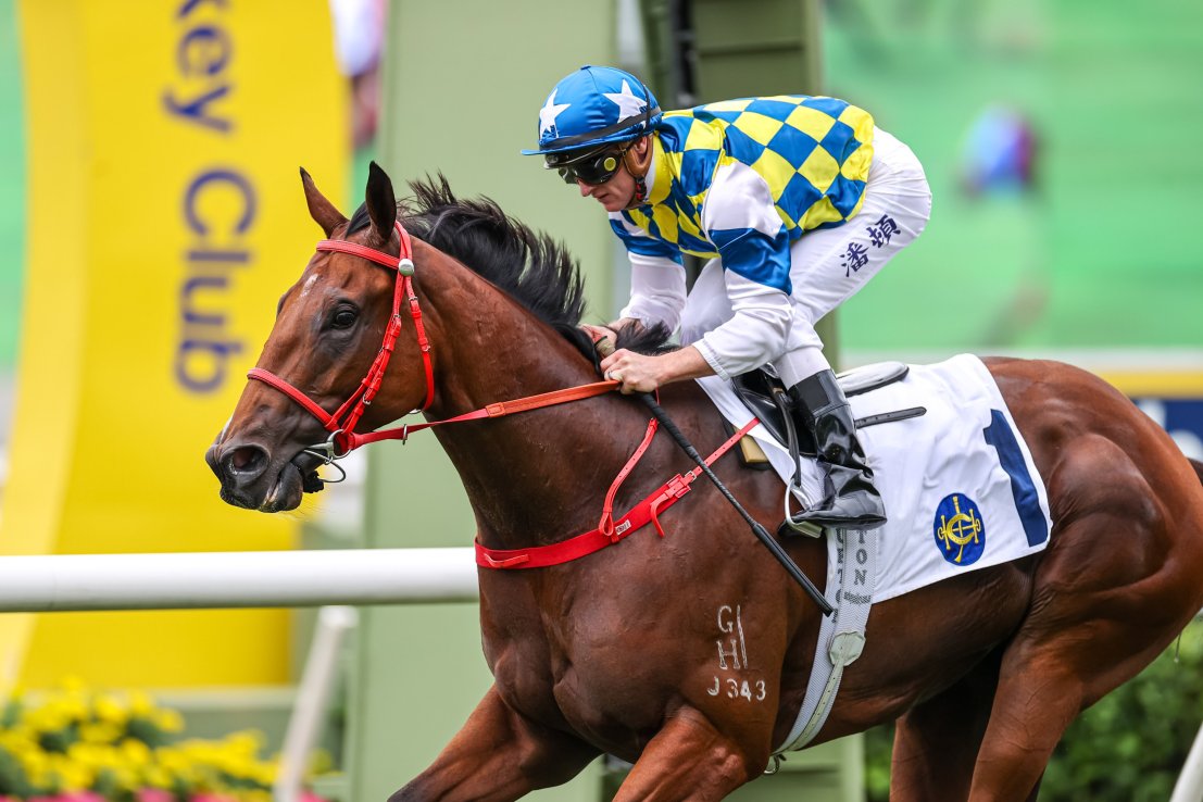 Zac Purton has partnered Patch Of Stars to three wins in his last three starts.