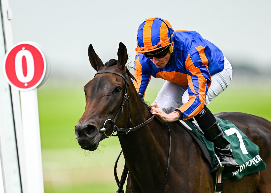 Whirl was a Group One winner at the Curragh on her last start.