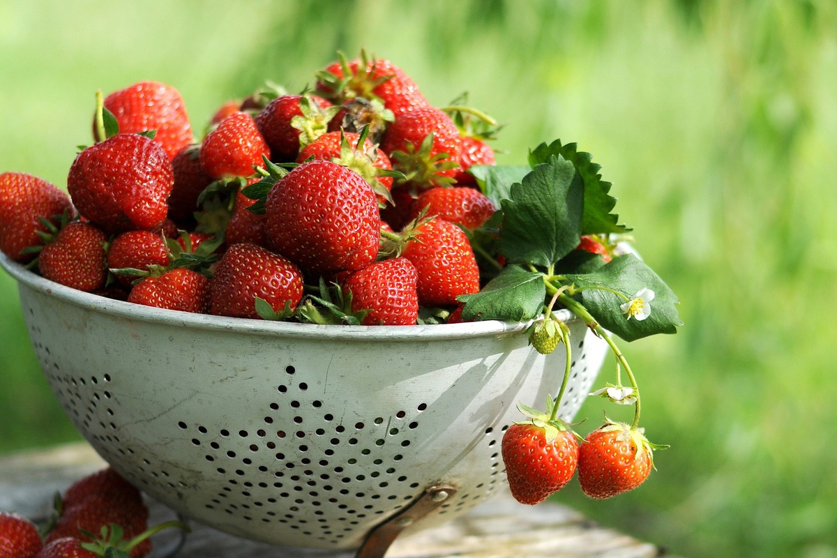 Demand for strawberries and cider help grocery sales surge