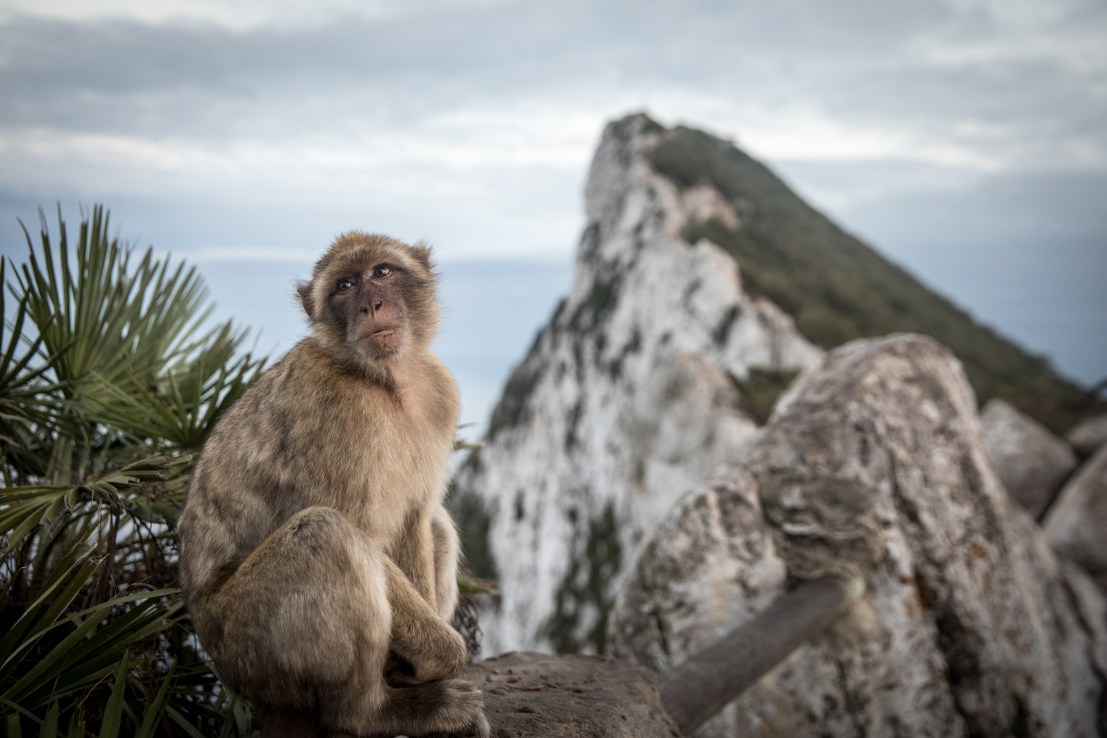 On this day: Gibraltar is captured by the British