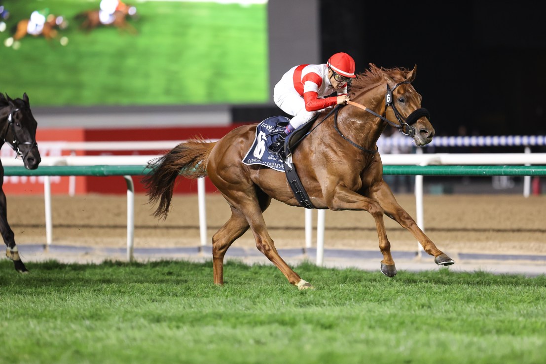 Japanese raider Danon can Blaze a trail on the Knavesmire