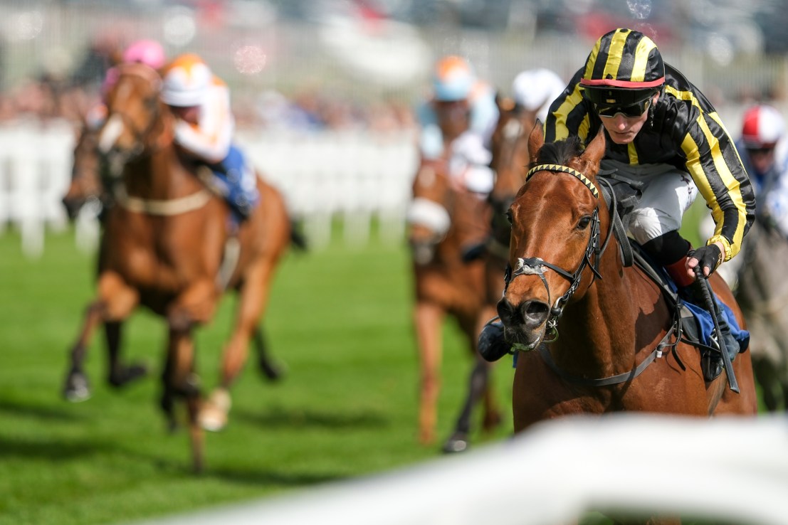 Asgard’s turn to deliver Captain’s performance on the Knavesmire