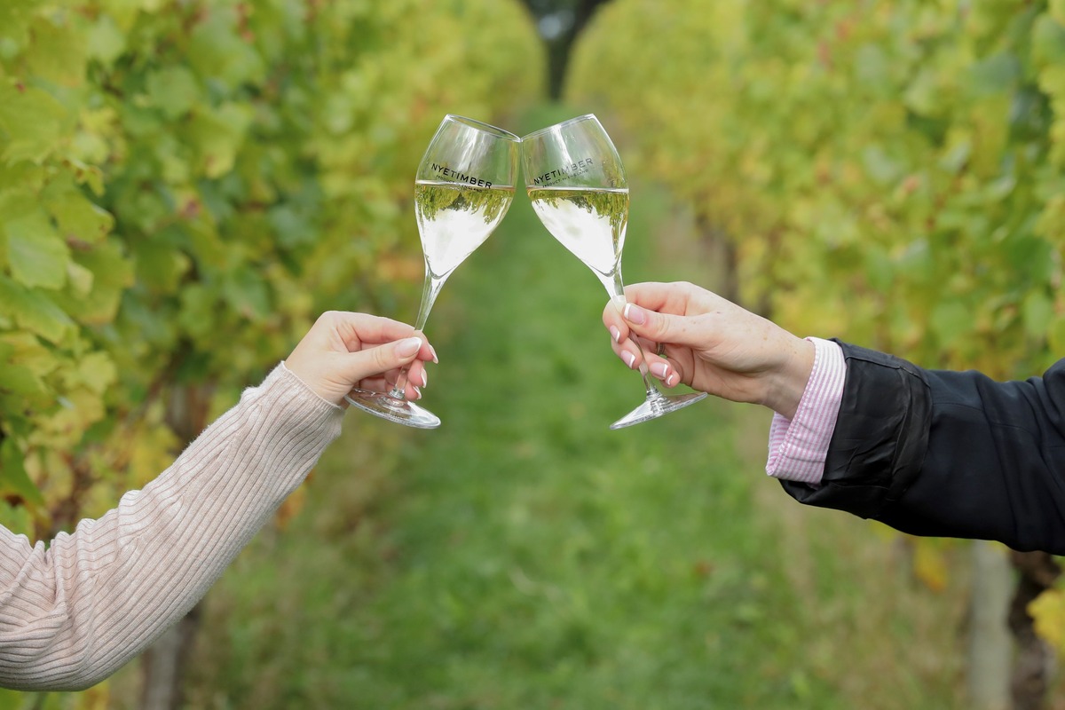 Warm dry summer expected to produce top vintage for UK wines