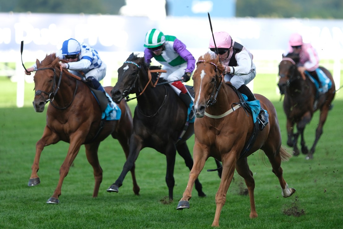Pick ‘n’ mix Candy with Apollo One at Ascot