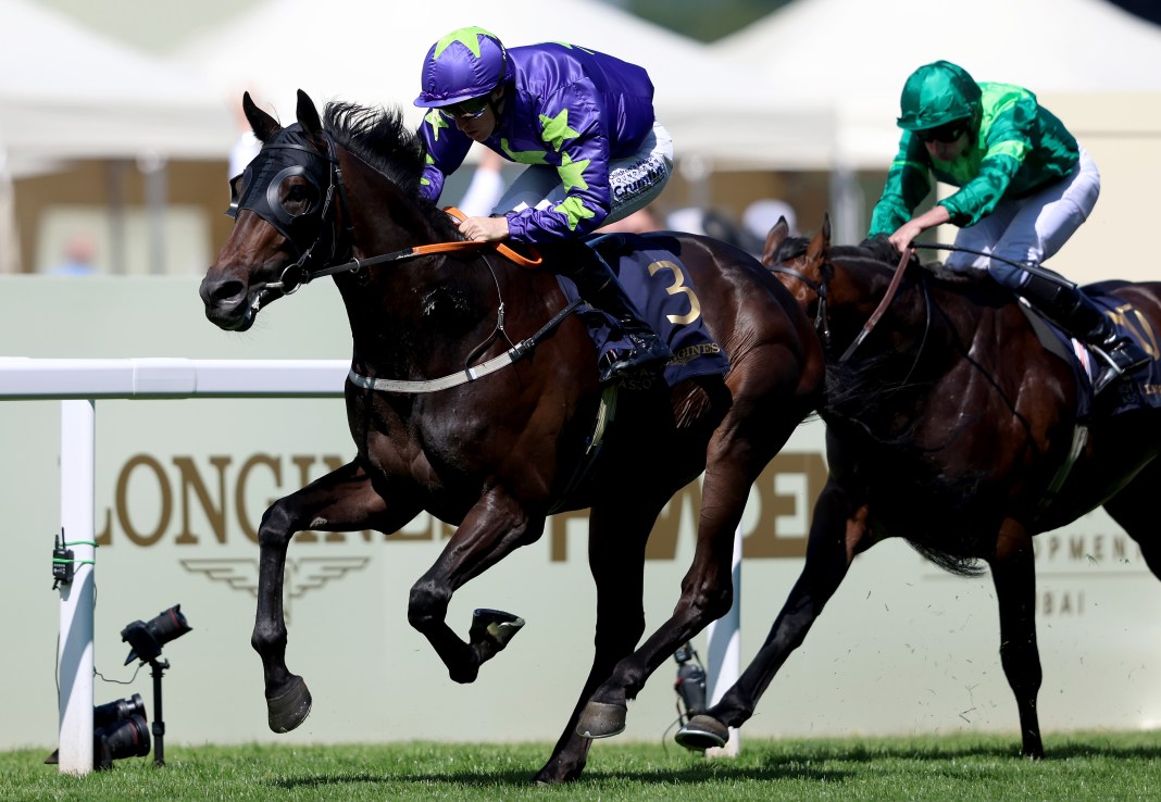 Carmers won the Group Two Queen’s Vase at Royal Ascot.