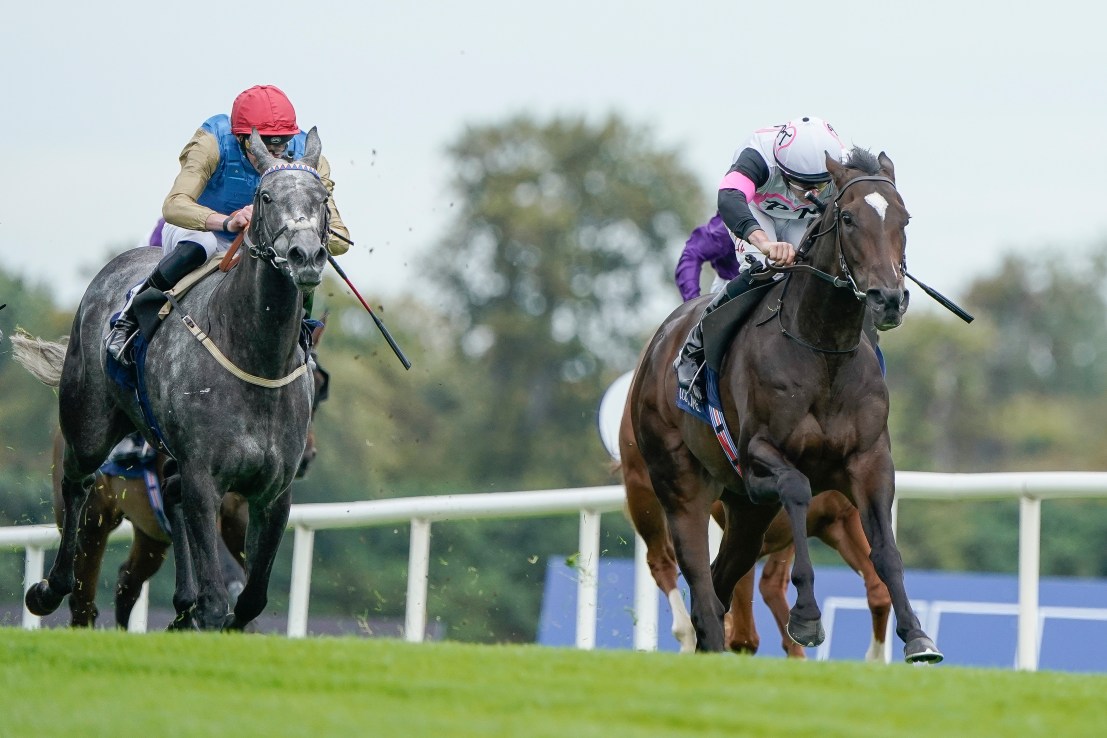 Fallen Angel to shine brightest in Matron Stakes
