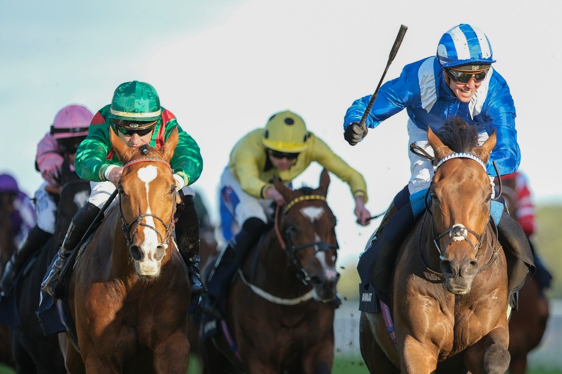 Anmaat and Aeronautic can sprout wings at Leopardstown