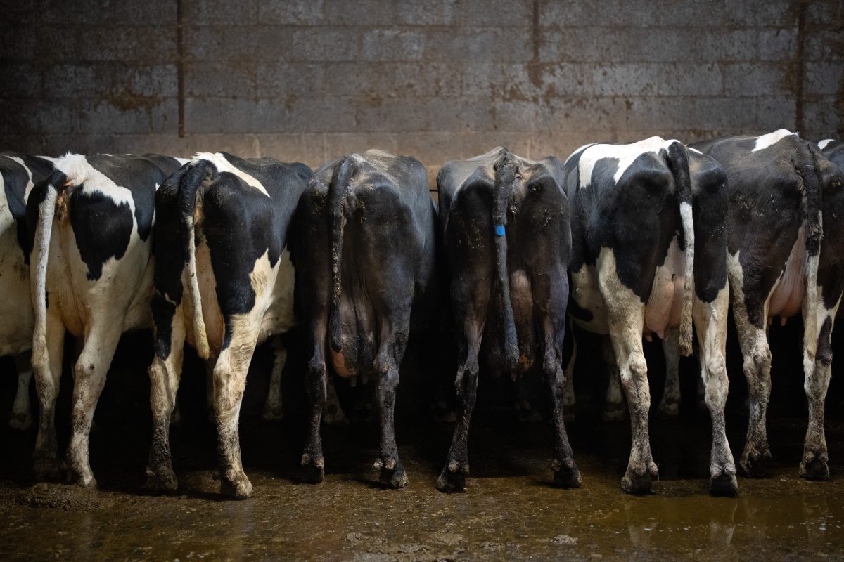 The last harvest? How tax changes are impacting British farming