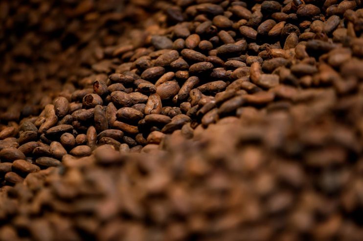 Cocoa prices in particular hit record highs amid adverse weather conditions and pest outbreaks in West Africa.(Photo by Justin Sullivan/Getty Images)