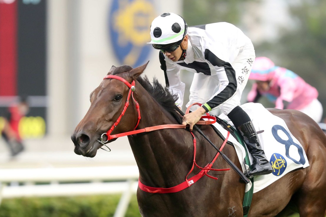 Keefy was twice a winner over a mile at Happy Valley last season.