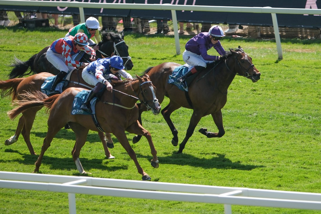 Real Gain and Thunder ready to rumble on Rowley Mile