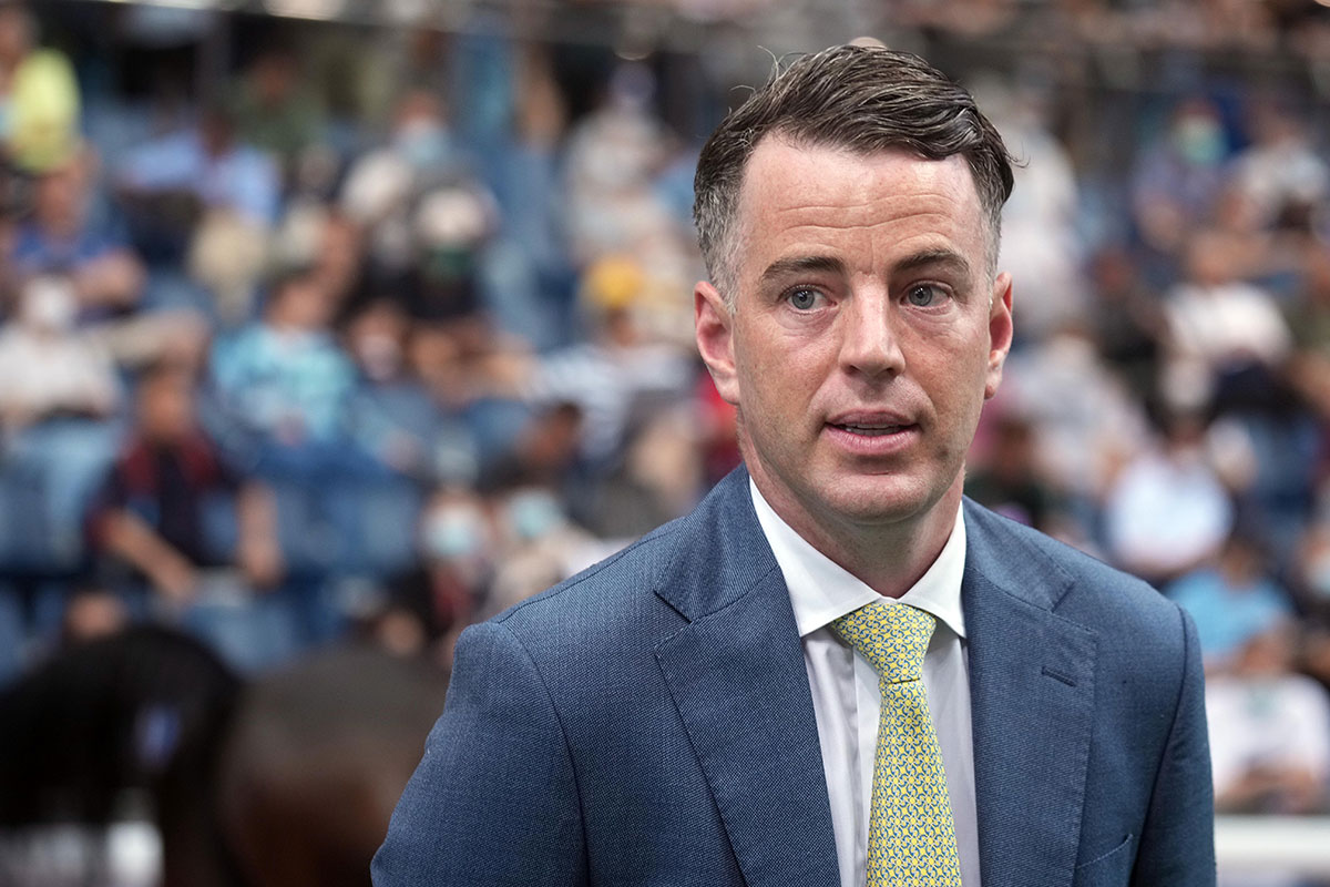 Richards’ Dragon can Storm home at the Valley