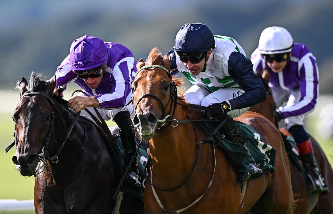 Zavateri (right) narrowly got the better of Gstaad in the National Stakes last month