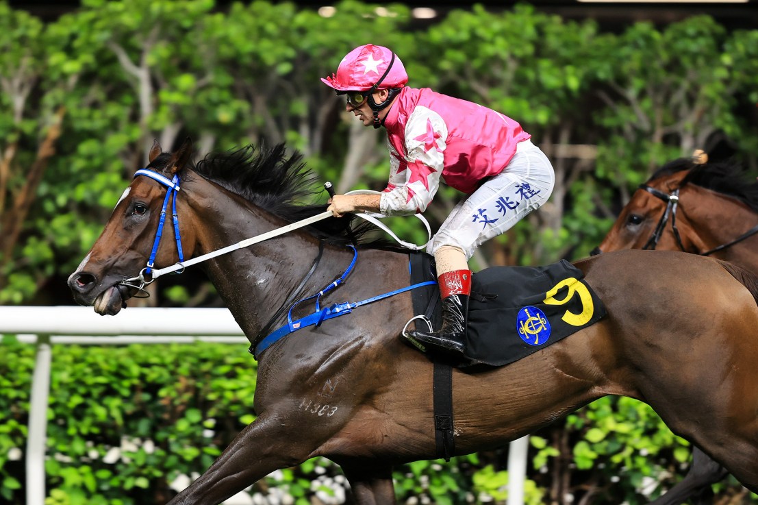 Joy ready to Thrive again with Wong in the saddle