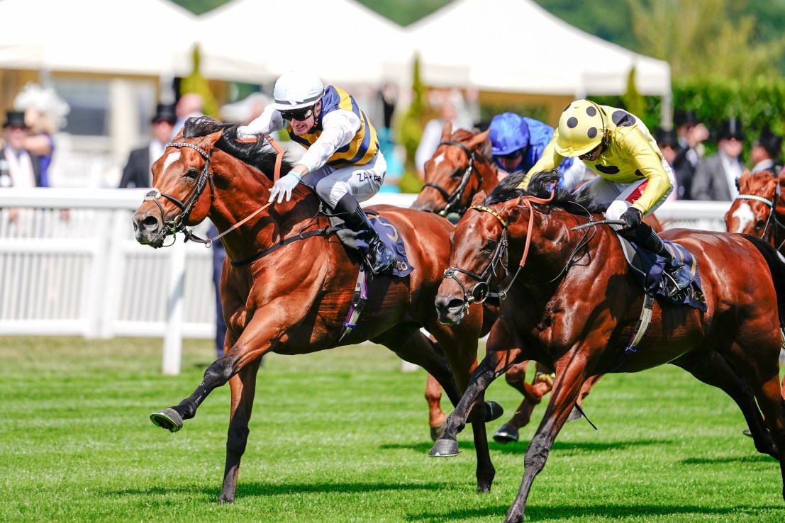 Rosallion to turn tide with Docklands in Ascot’s QEII