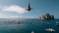 Cliff diving content attracts 1bn views a year due to its daredevil nature and stunning backdrops