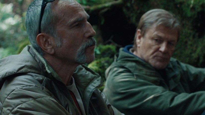 Vibrant marine anemone with colorful tentacles swaying underwater, showcasing ocean biodiversity in a news context