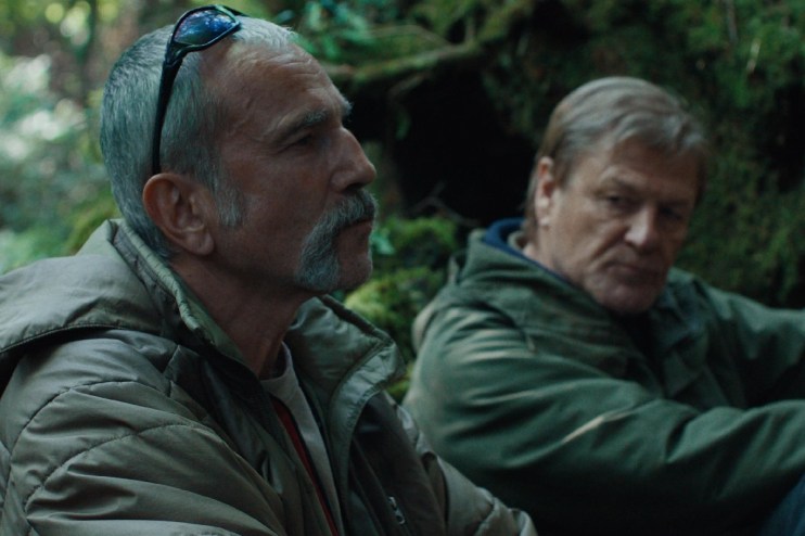 Vibrant marine anemone with colorful tentacles swaying underwater, showcasing ocean biodiversity in a news context