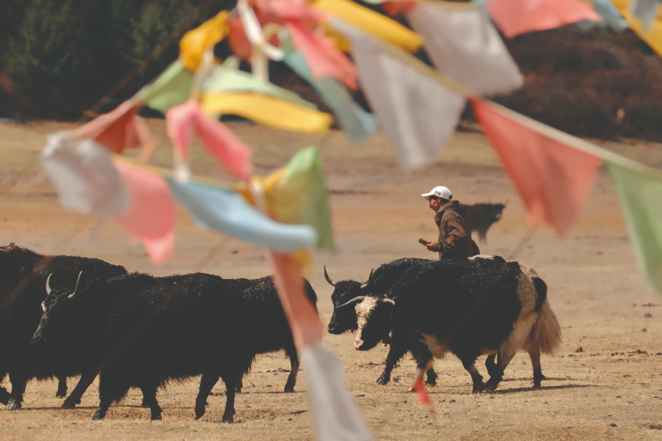 Future-focused business meeting with diverse team discussing innovative strategies for 2025 growth and development.