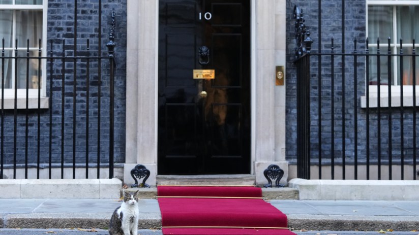 10 Downing Street