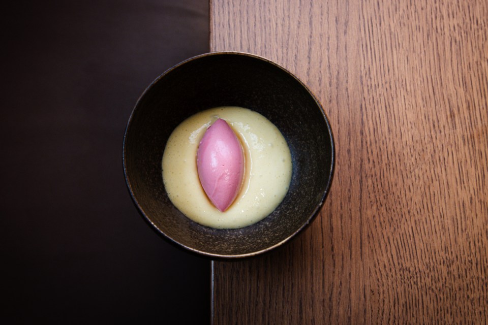Gorse and rhubarb plants in vibrant bloom, captured by Will Barker, showcasing their natural beauty and unique colors.