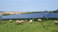 Penare Solar Farm in England showcasing rows of solar panels under a clear sky, highlighting renewable energy efforts