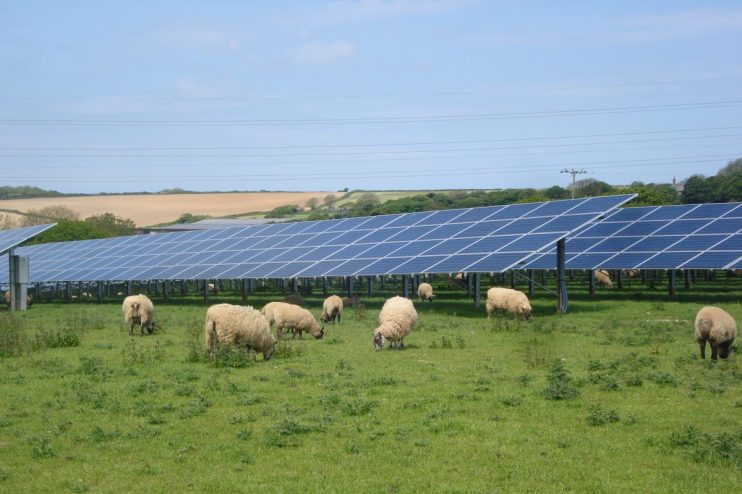 Penare Solar Farm in England showcasing rows of solar panels under a clear sky, highlighting renewable energy efforts