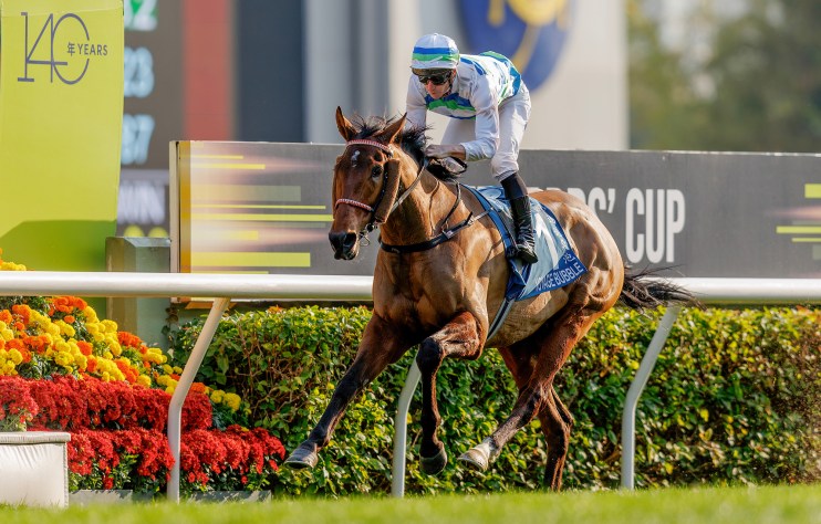 STpreviewVB 20250220 showing significant business trends with graphs and charts on digital transformation strategies.