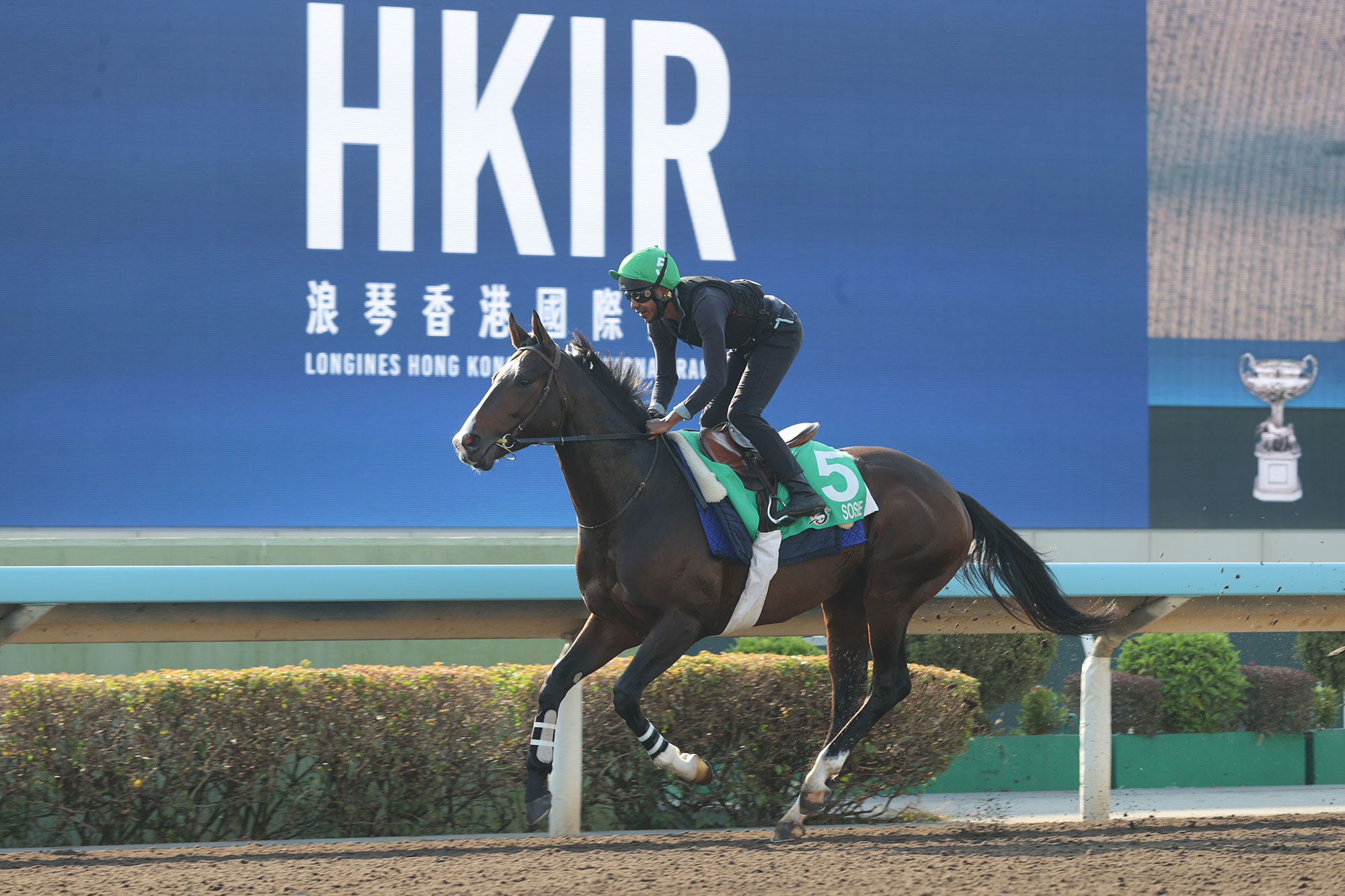 Fabre poised to hit target again in the Hong Kong Vase with Sosie