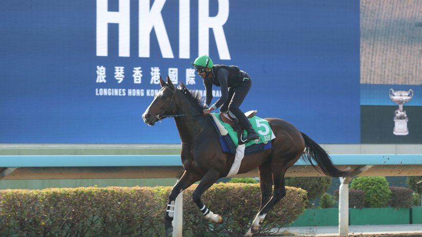 Elegant vase with intricate design, showcased in a contemporary setting, highlighting modern craftsmanship and artistry.