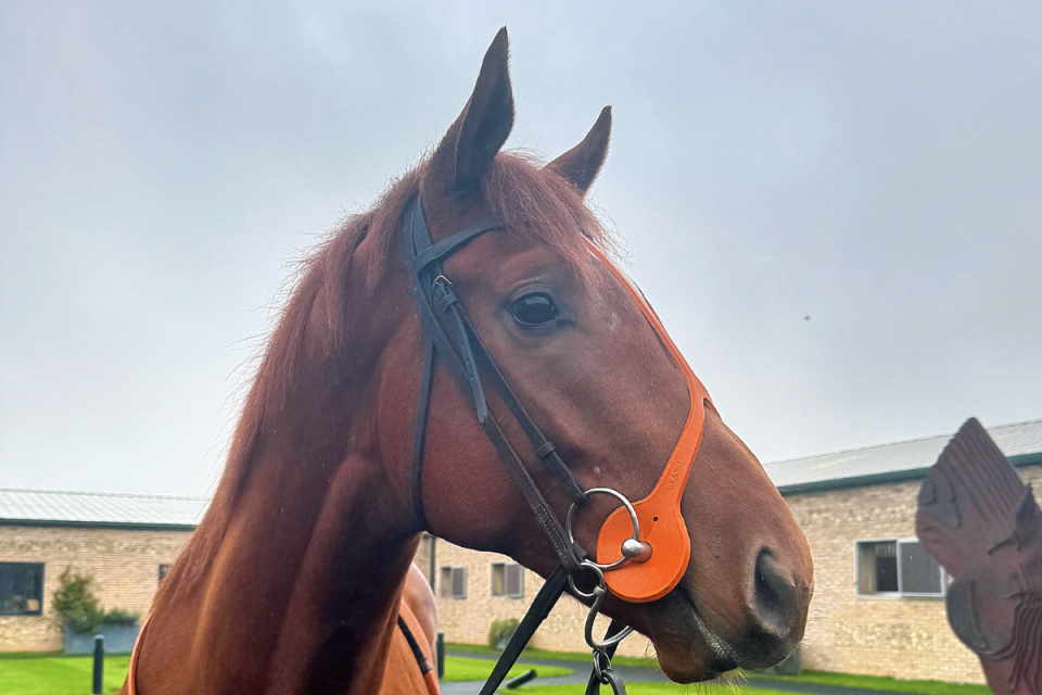 Professional headshot of an individual associated with the FMTY news article, suitable for a business or news website.