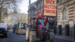 Farmers tending to crops in a lush field, highlighting sustainable agriculture practices and rural livelihoods.