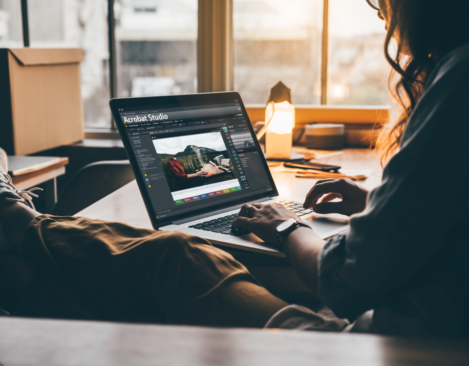 Firefly Acrobat Studio showcasing innovative aerial acrobatics with performers executing synchronized routines.