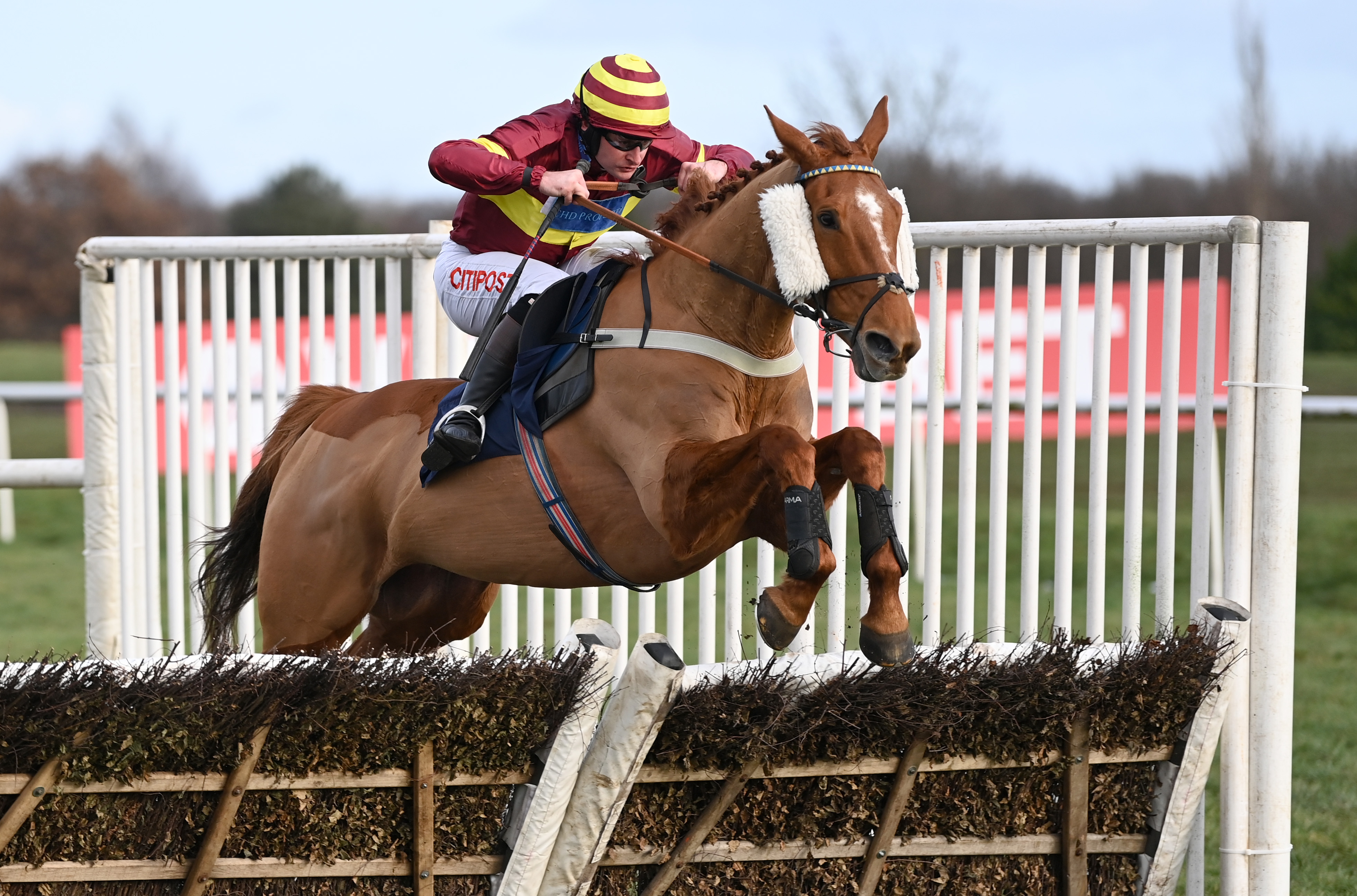 Pick Doc to go one better in the Pennine Handicap