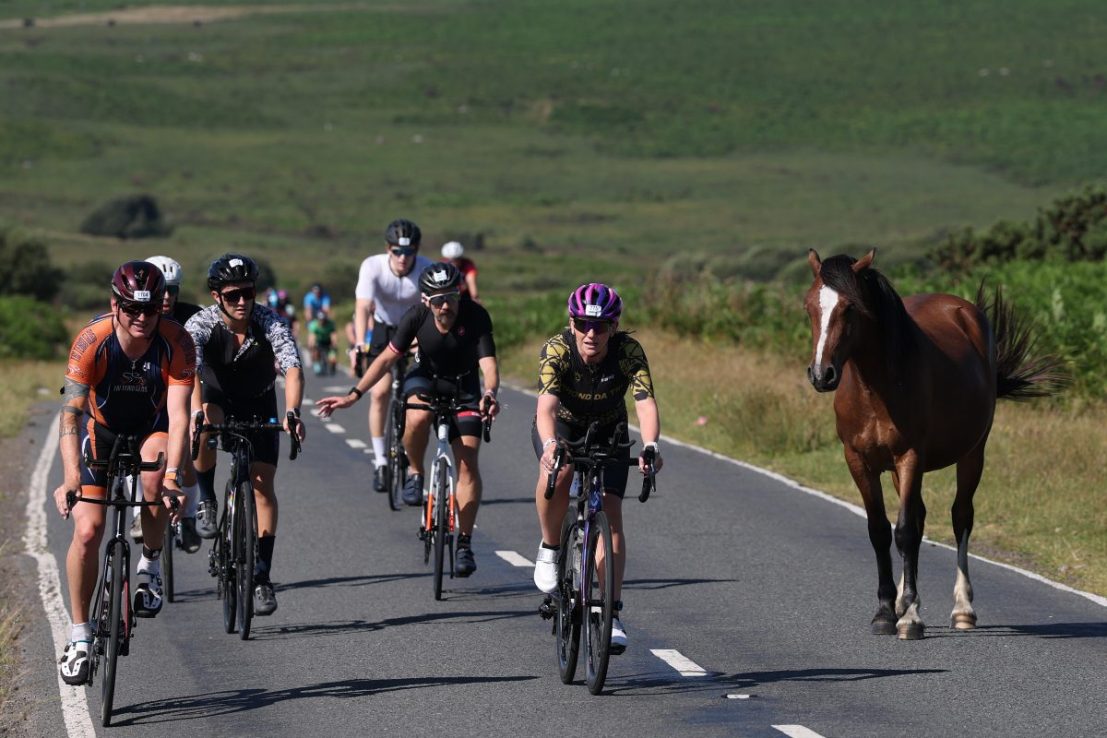 Oakwell Sports Advisory has been engaged by British Cycling