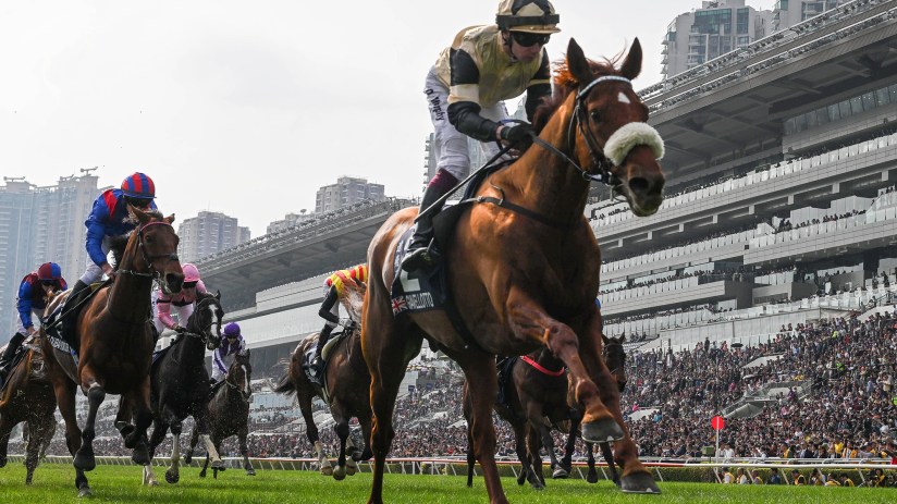 Giavellotto athlete in action during a javelin throw event, showcasing strength and precision on the sports field