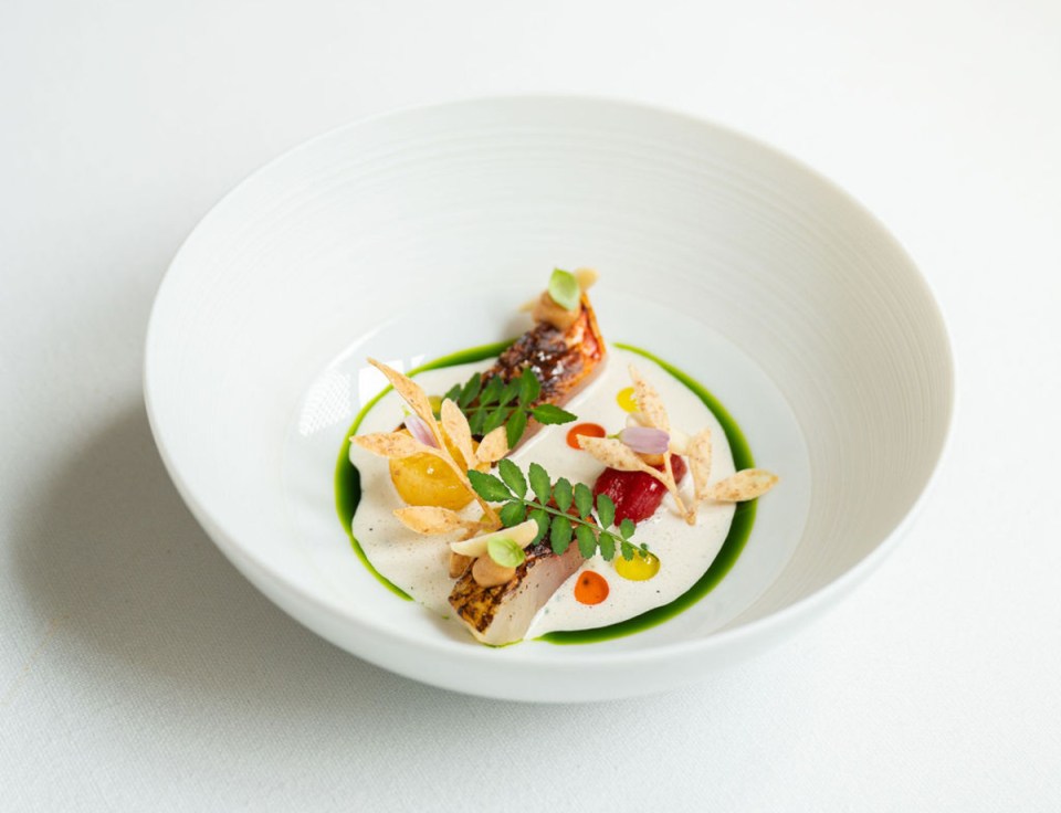 Red mullet fish on a wooden surface, highlighting vibrant scales and distinctive features, captured by photographer Kira T...