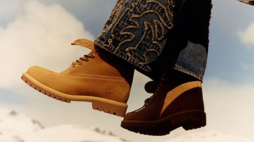 Timberland landscape featuring dense forest with towering trees, ideal for sustainable logging and environmental conservat...