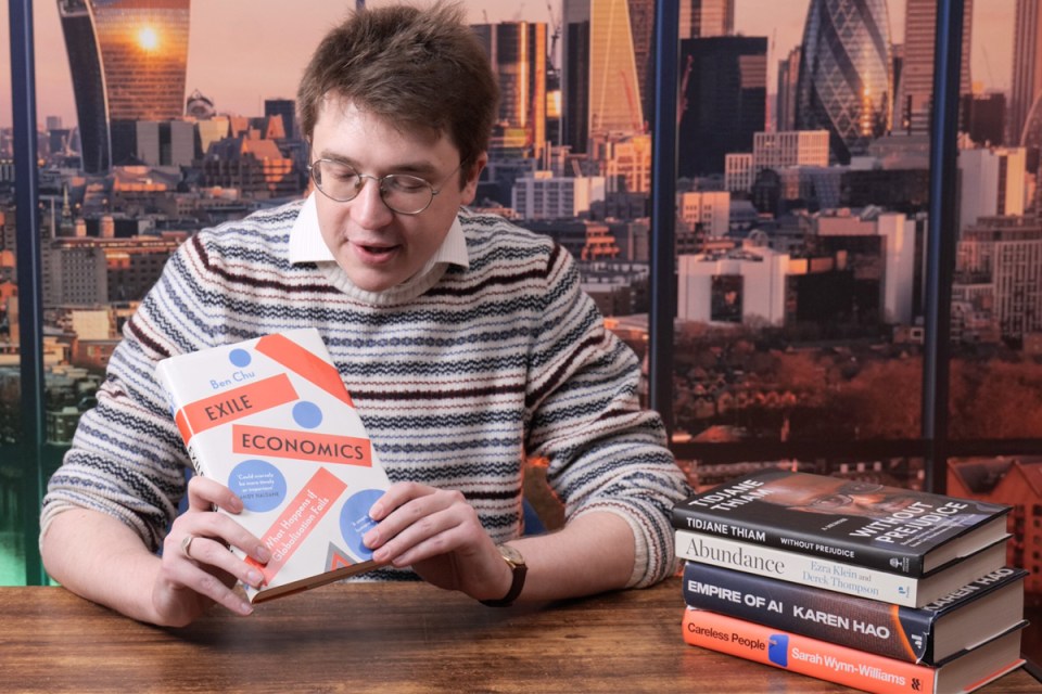 Stacks of various books neatly arranged on shelves in a library, emphasizing a diverse collection and organized presentation.