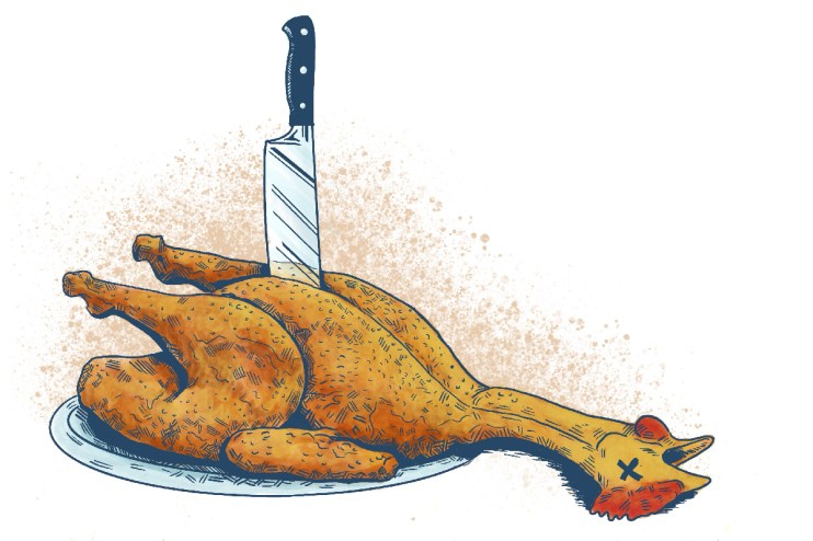 Dead chicken lying on the ground in a general news article context, highlighting agricultural or farm-related issues.