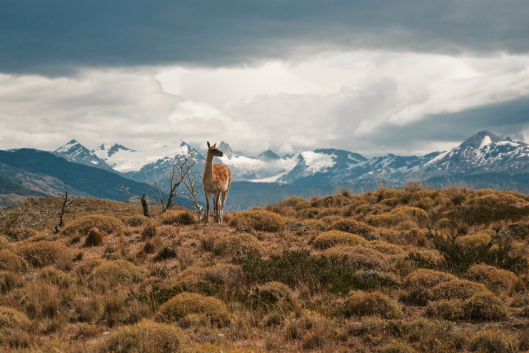 Breaking news event in 2025 with key figures in a formal meeting discussing future policies and economic strategies