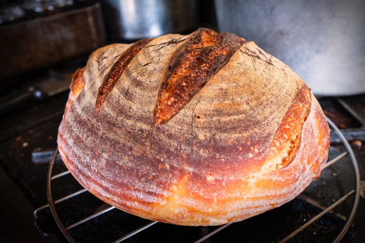 Freshly baked sourdough bread with a golden crust on a wooden board, showcasing artisanal baking techniques.